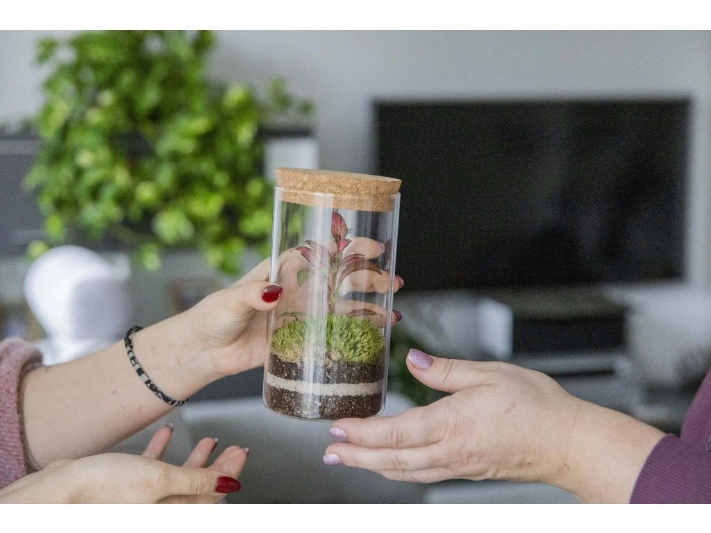 Sammalerarium-kristalli 