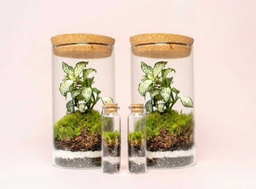 Sammalerarium-kristalli 