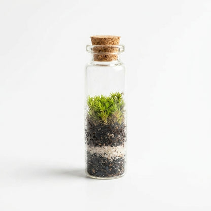 Mini Sammalerarium