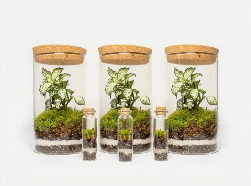 Sammalerarium-kristalli 