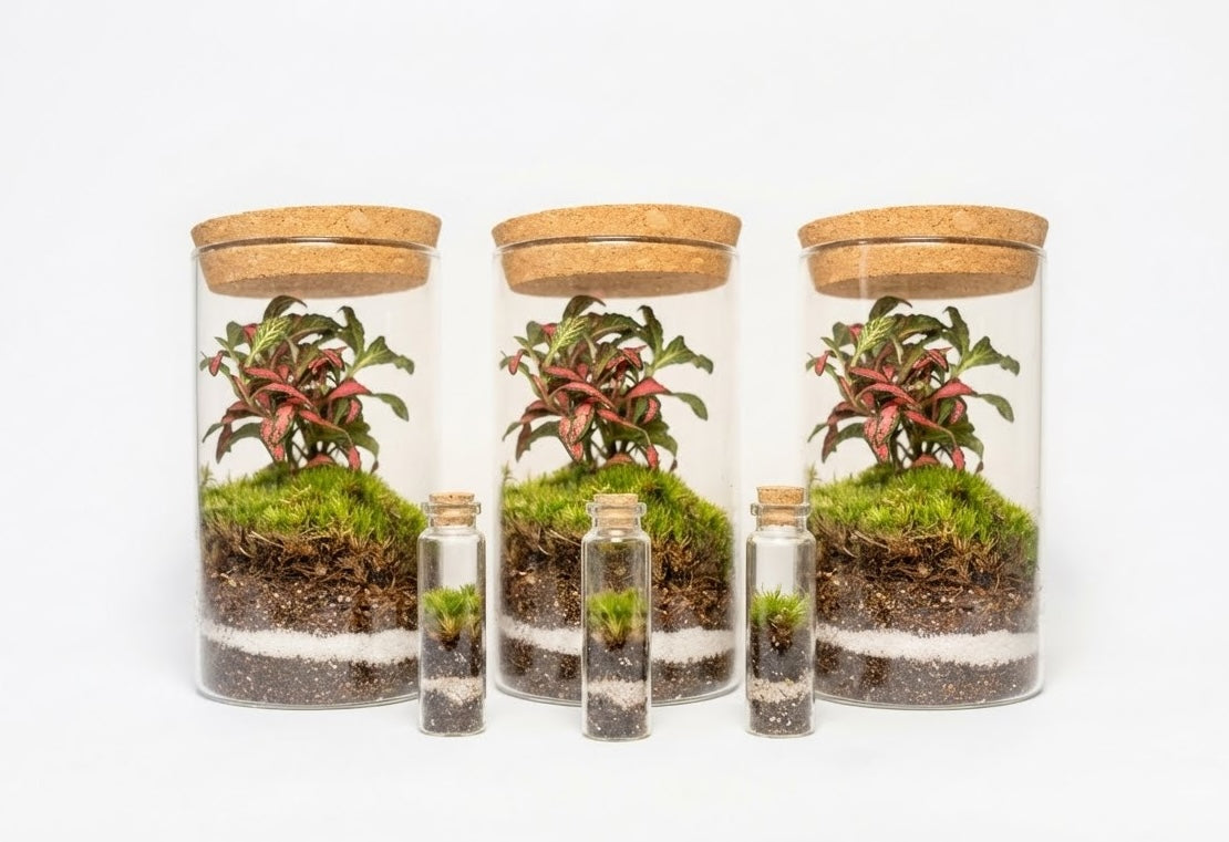 Sammalerarium-kristalli 