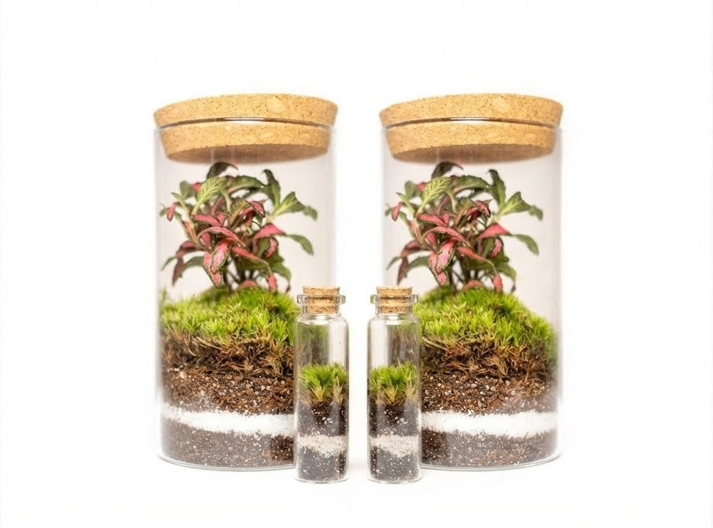 Sammalerarium-kristalli 